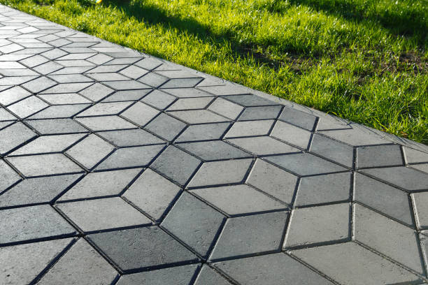 Best Decorative Driveway Pavers  in Questa, NM