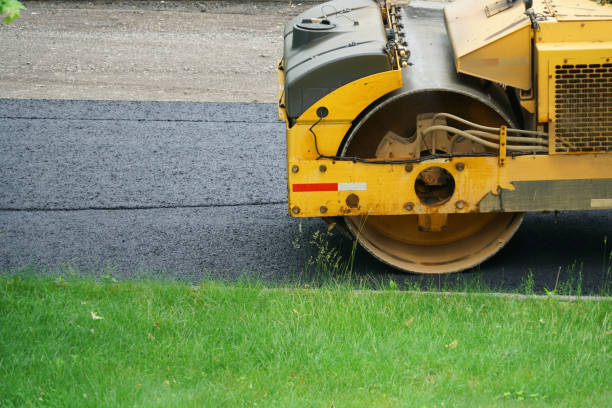 Best Local Driveway Pavers  in Questa, NM