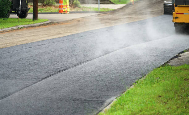 Best Professional Driveway Pavers  in Questa, NM
